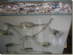 PA270958 PA270958
