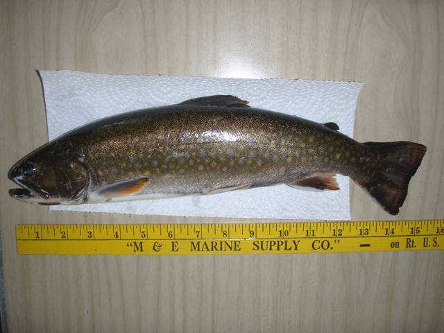 [P7163056[2].jpg]