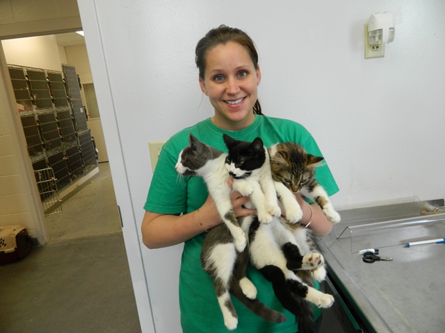 [Spay Day 2011-A 016[3].jpg]