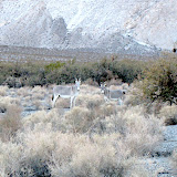 IMG_2495.JPG