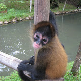 Panama 094.JPG
