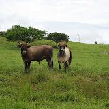 Panama 090.JPG