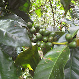 Panama 104.JPG