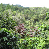 Panama 131.JPG