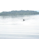 Panama II 014.JPG