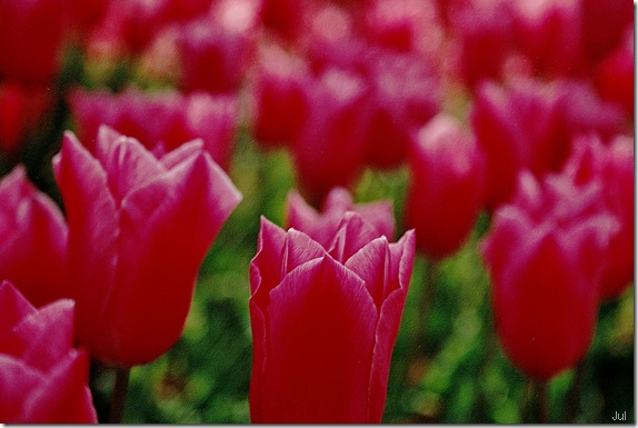 Photo34_2A