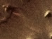 350-180907-2412-2467-6-co-01-MaunderCrater_H23.jpg