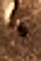 350-180907-2412-2467-6-co-01-MaunderCrater_H241.jpg