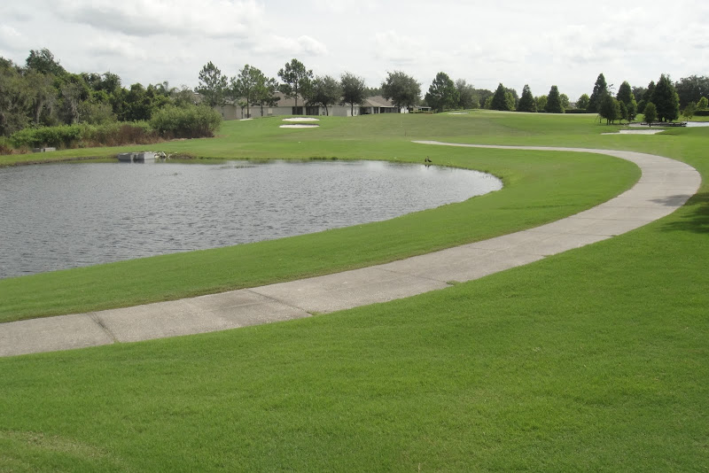 Lexington Oaks homes