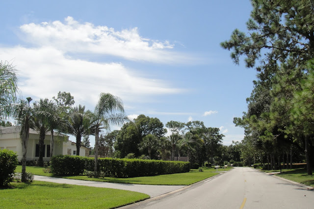 Saddlebrook Golf and Tennis Homes