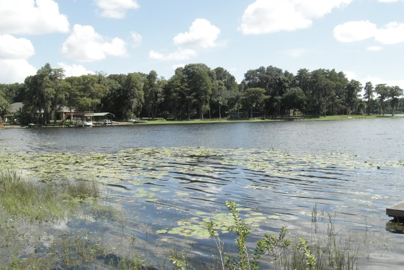 Odessa Luxury Lake Homes