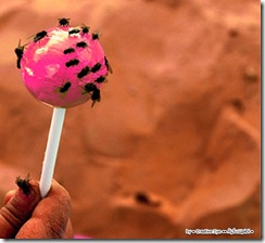 lolipop, attractive, pink, attract, ants, sweet, make them come
