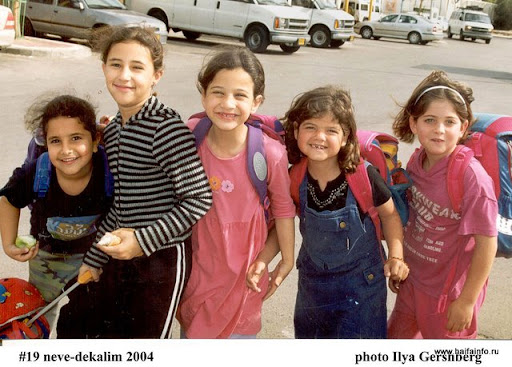 #19 neve-decalimAs.jpg