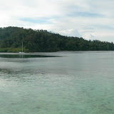 Panoramic view