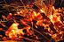 trip0028.jpg