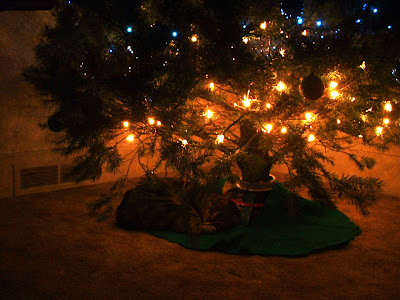 In the Christmas spirit.