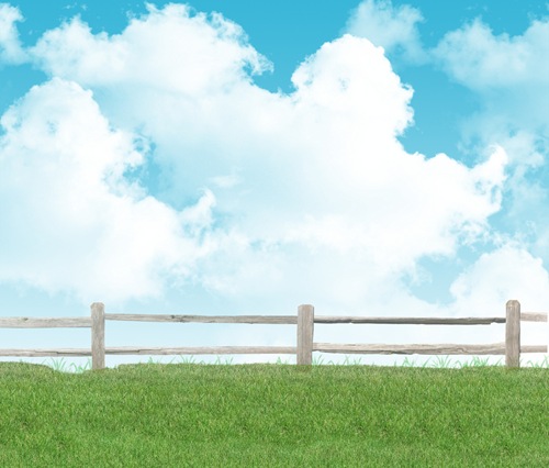 USED Field_02_by_MadameM_stock