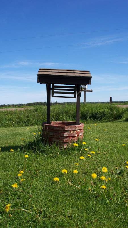 USED Well_by_B_SquaredStock