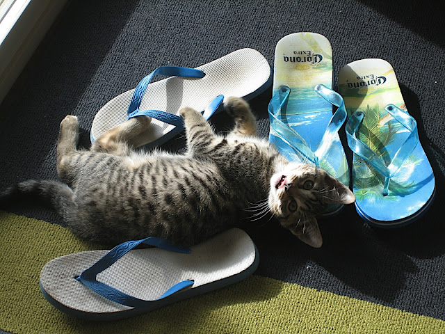 Playing with the flipflops for 2 hours