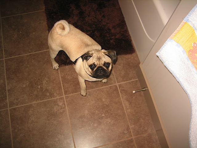 Dexter