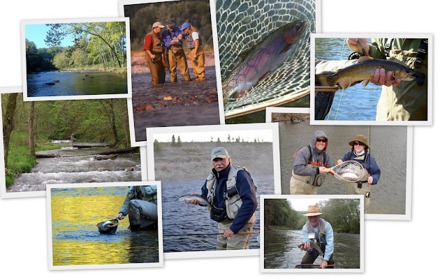 Collage.jpg Guided Fly Fishing Trips