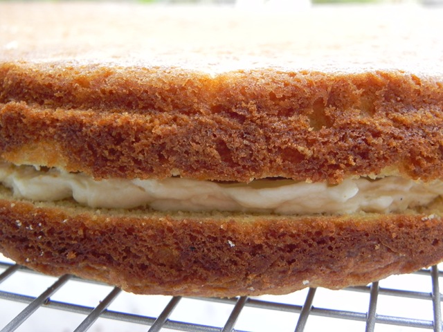 [231 - Sandwiched[2].jpg]