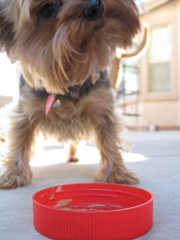 [PeanutButter[2].jpg]