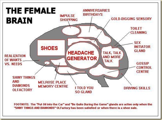 female brain