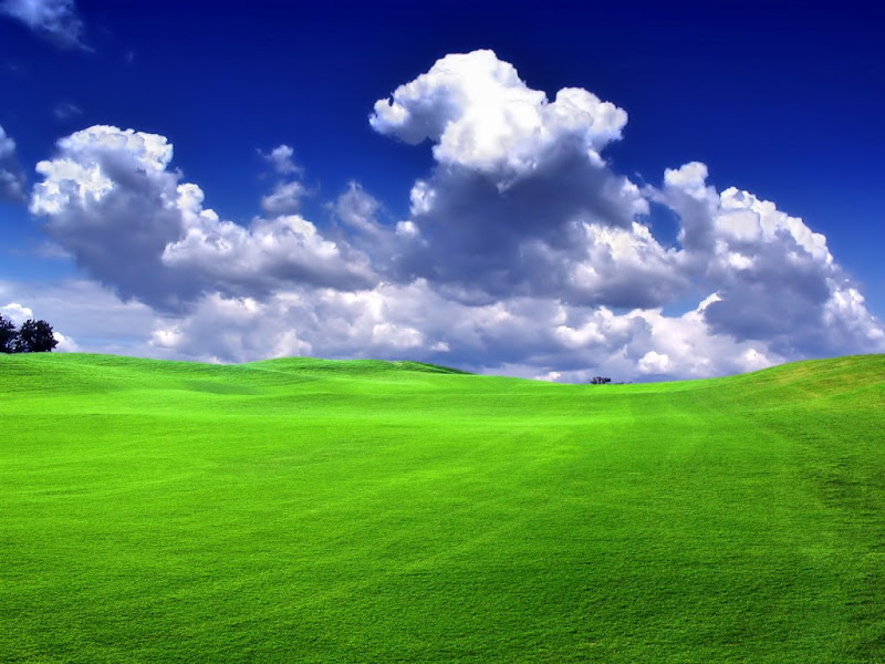 Hot beautiful wallpapers-Hot beautiful wallpapers