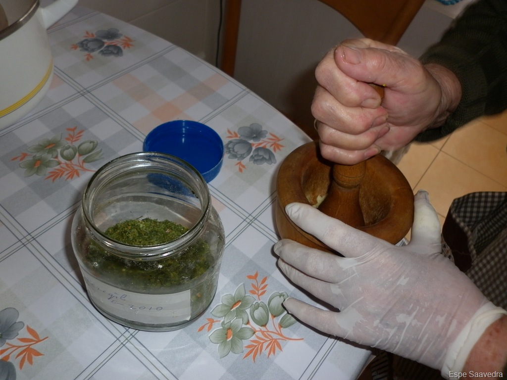 [P1000550[6].jpg]