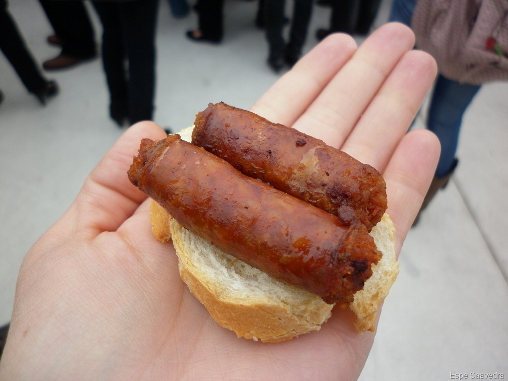 [P1000256[6].jpg]