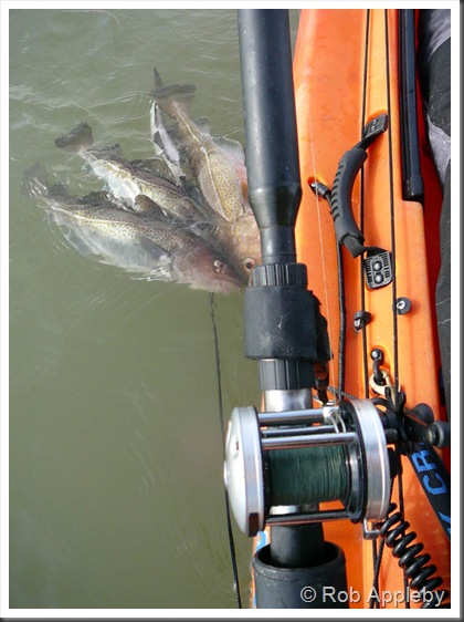 Clackcatch Clackcatch