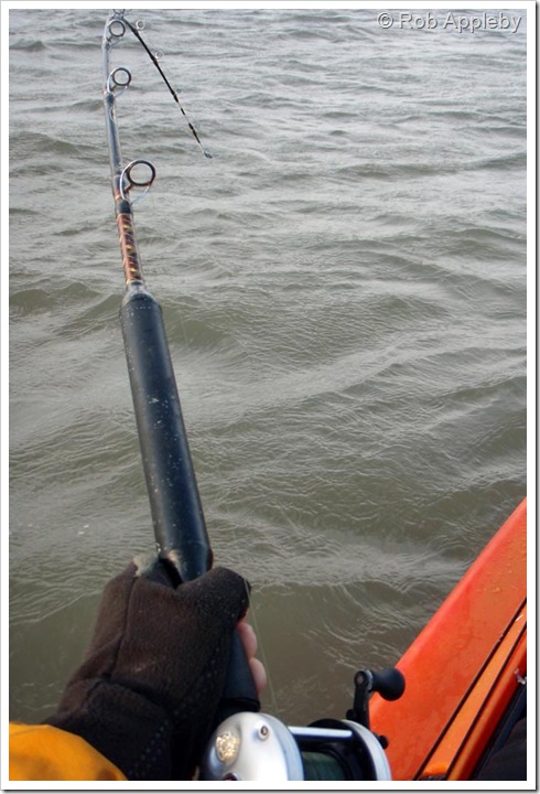 6lb boat rod in action!         