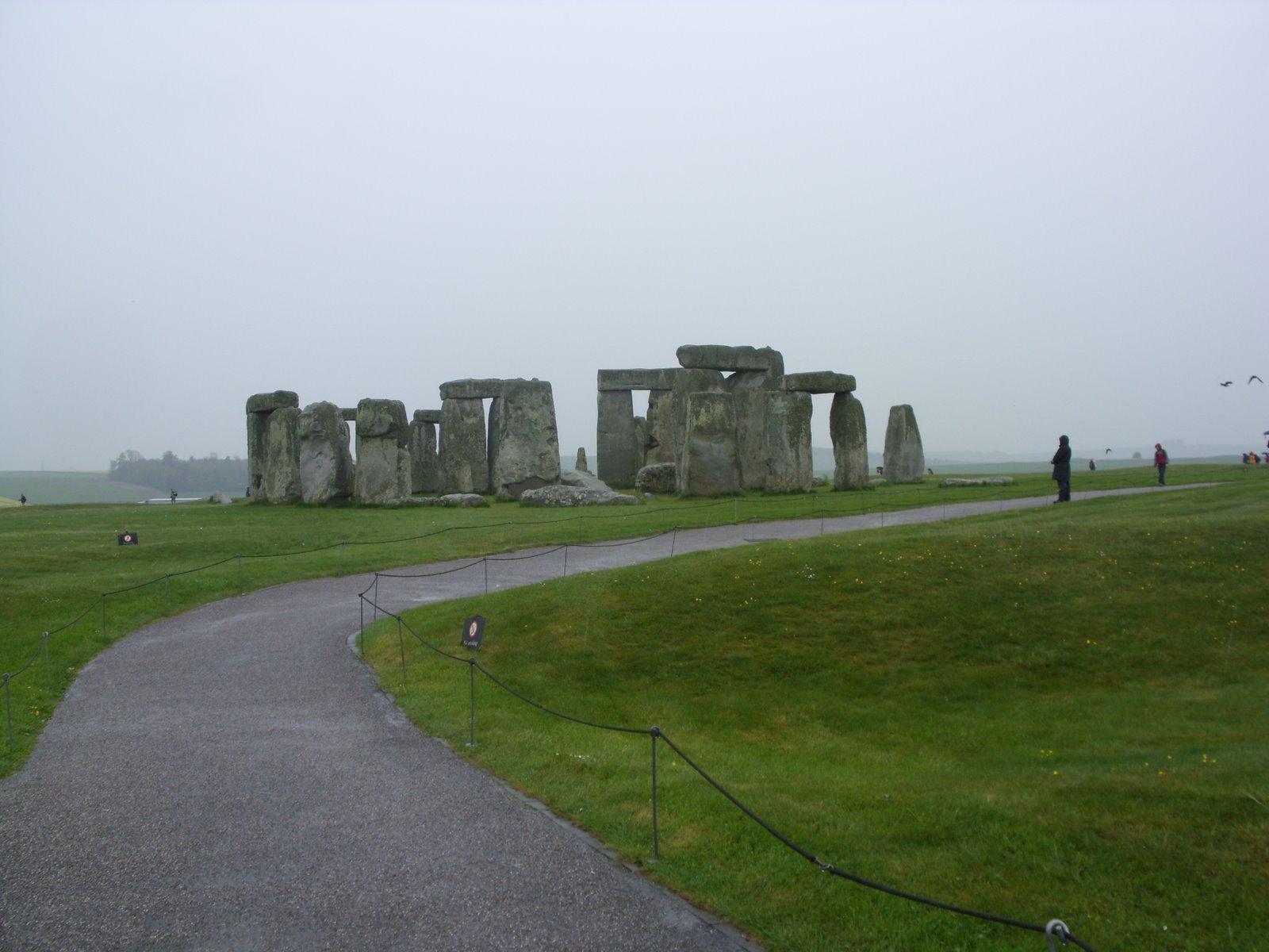 [SDC12037.JPG]