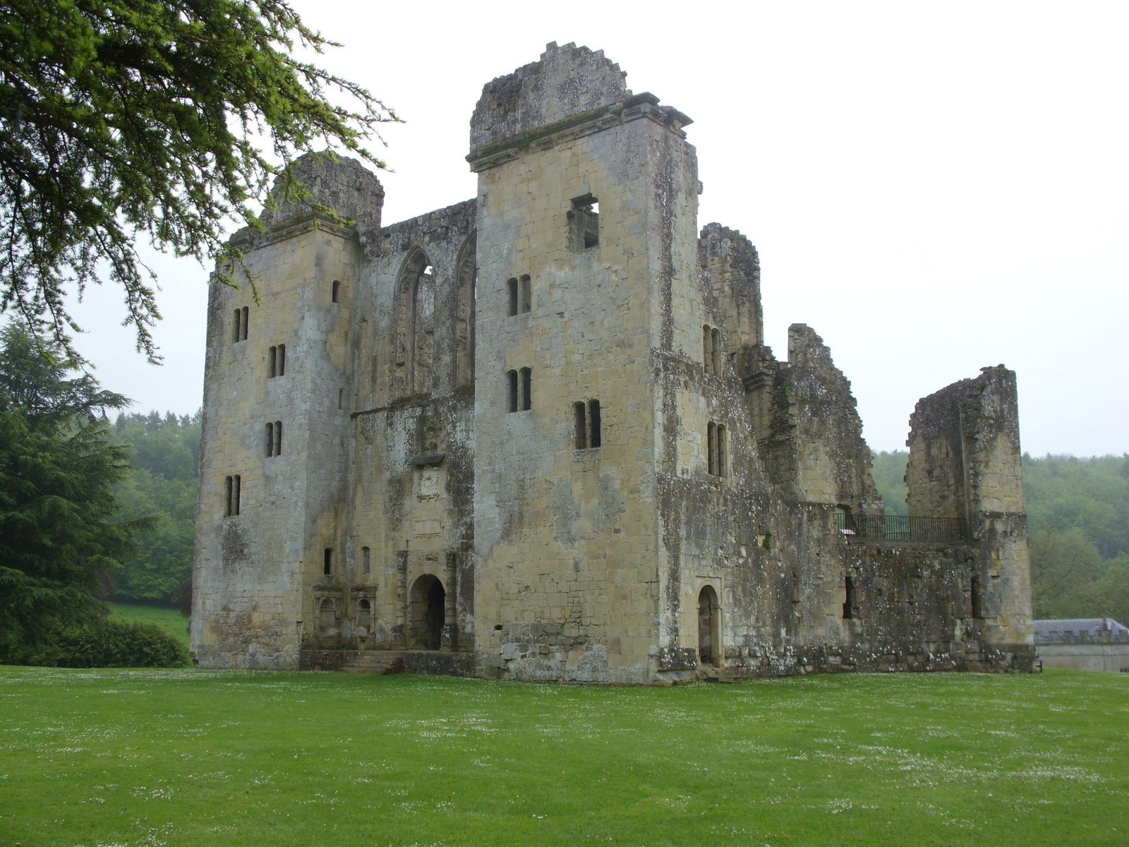 [SDC11978.JPG]