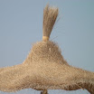 DSCN1197.JPG