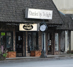  twilight book