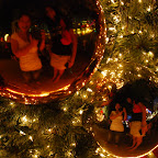 Christmas @ Orchard
