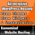 economical website hosting