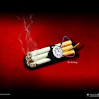 anti-smoking-1342