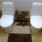 unusual_and_funny_toilets_60
