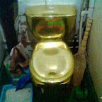 unusual_and_funny_toilets_71