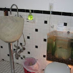 unusual_and_funny_toilets_95