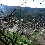 南橫 南橫