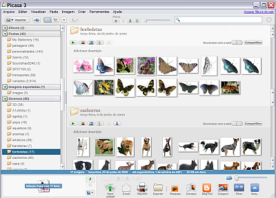 Picasa Picasa
