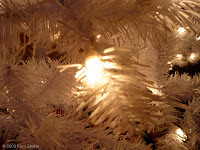Christmas Light