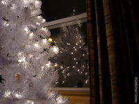 Reflection of a Tree
