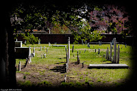 Stones in a Row: Another shot at Christ Church Cemetery; the tree branches frame the stones well. (1/3200 sec @ f/3.2; 50mm) Copyright 2009, Kerri Shotts