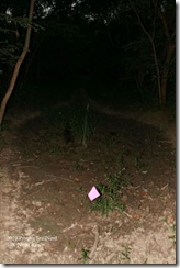 IMG_0093_s_jpg