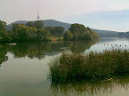 Mar 29 - Lake Burley Griffin, Canberra